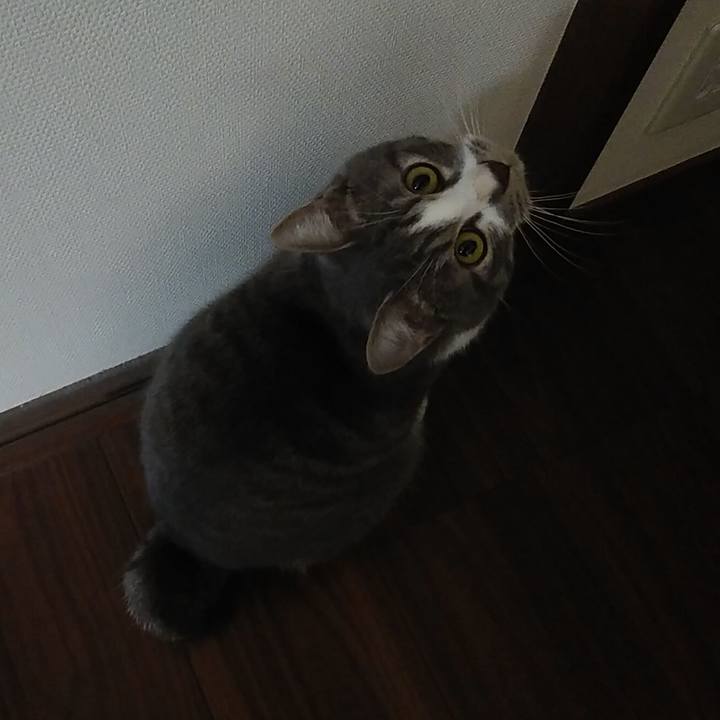 5374c364 d43a 48cf 96db 095857cacf40 1574384583889