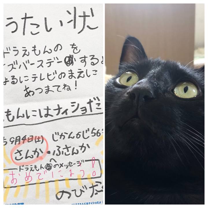 5374ccc0 b022 4c5d a17a ba63a82af871 1630749736978