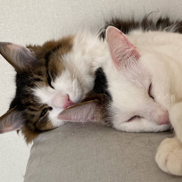 5374e03c 00d8 4e68 99e3 92e2e90e07be 1662846285567