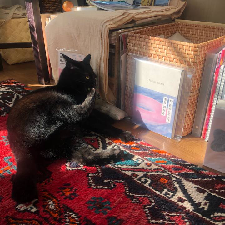 5374edf7 4b08 441b a936 79b0494c46c9 1669367273821