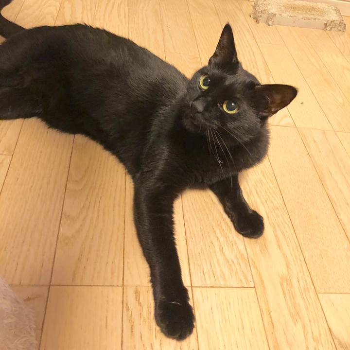 5374f543 1069 4b28 a575 d257272be649 1584450849964