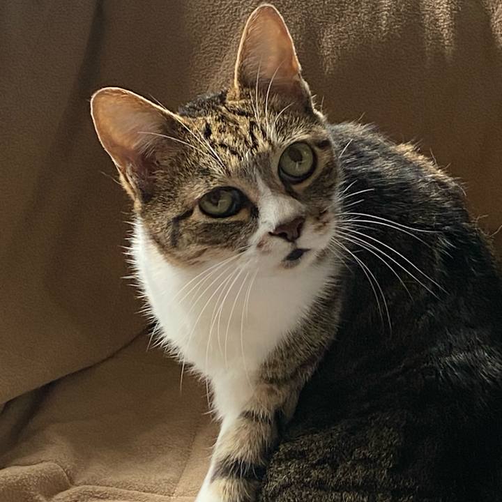 53752603 a51a 46ad a212 e1c9ce2c751d 1616206986388