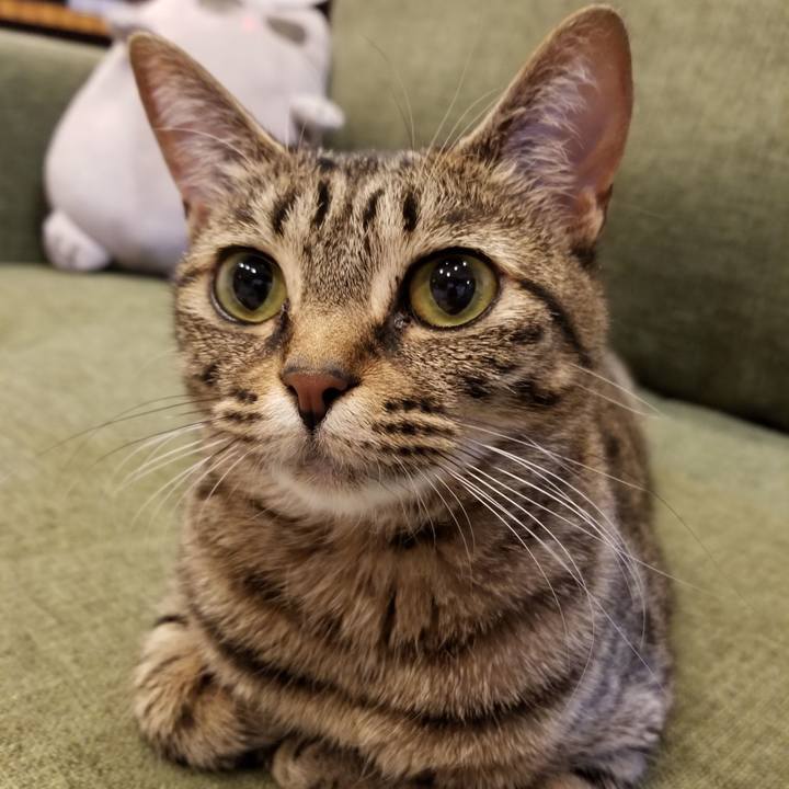 53753849 508e 42a2 8705 3d91f339944f 1593864889643