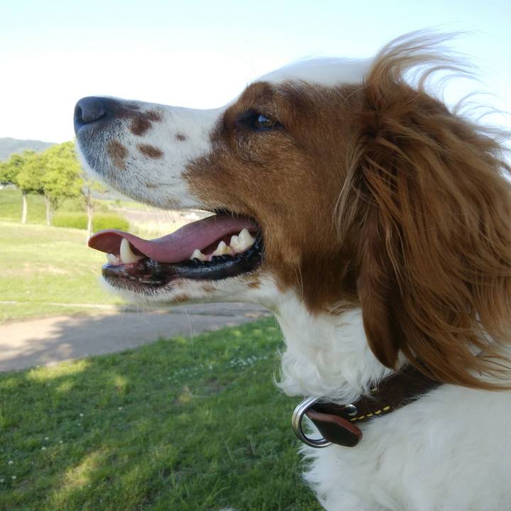 537556a8 c17f 43a5 b59a 86d436b5468b 1527854728830