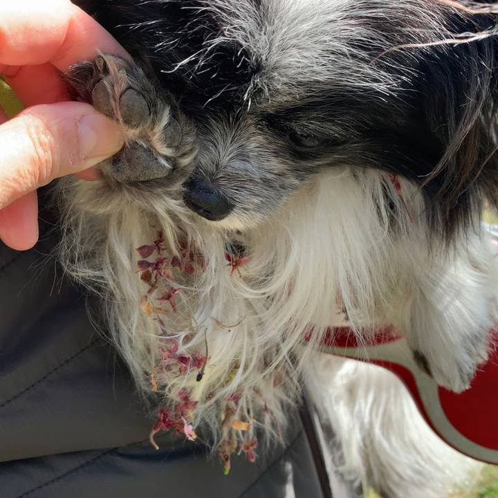 537559a1 16d9 4153 8478 b33a6fc31cae 1618039084942