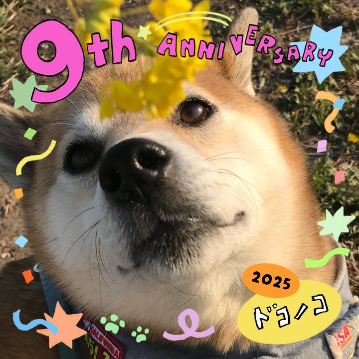 53755f43 b384 4f25 8079 0f729a669f87 1749258944262