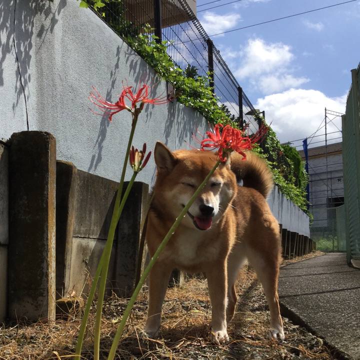 53756c22 d0ec 47c3 934d b6d57bc53089 1569230017280