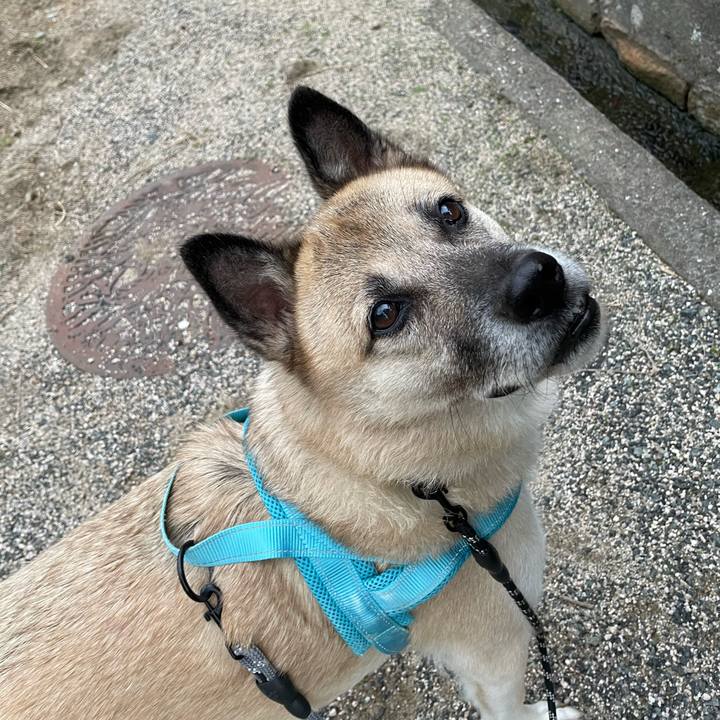 53757206 26fa 416a 9d53 2438efa09da2 1729599428751