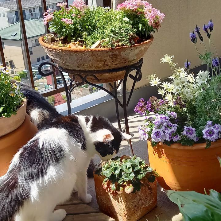 537578aa 4a46 47d4 9d44 fdb35c330d22 1619830861177