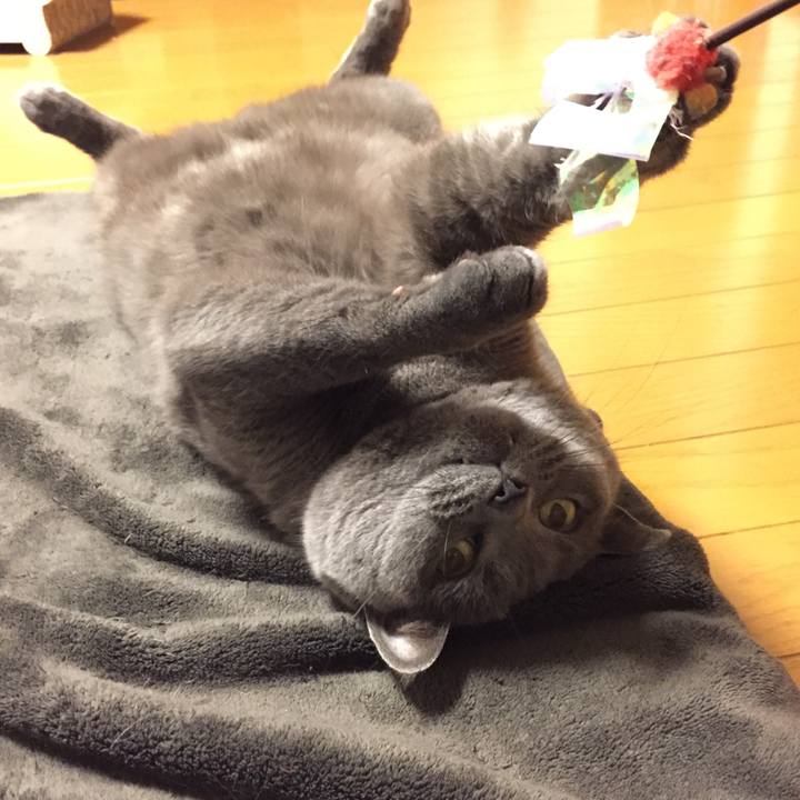 53757d66 c26a 4454 a4fc 87f9ef34b183 1526211396166