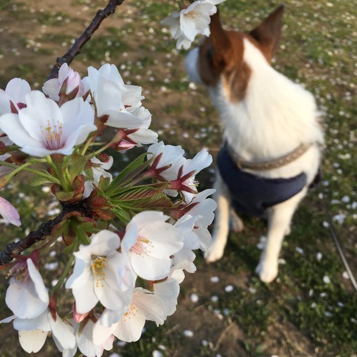 5375d2f7 ca6c 4fef 9ac9 560cd2039873 1555220305473