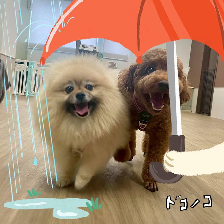 5375dab2 d612 4806 b910 c21b32c01ba3 1749131841546