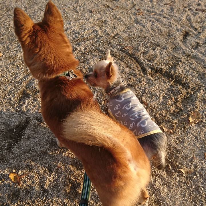 5375f322 eedd 4160 97b4 2058a1a9bd19 1539514678365