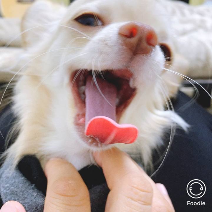 537616c1 bcfc 482a 8d23 135b0c0d9e23 1604301637457