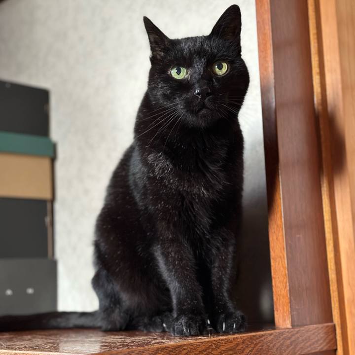 537618dd e627 4249 9d39 9c5f5dbd6b81 1673920683179