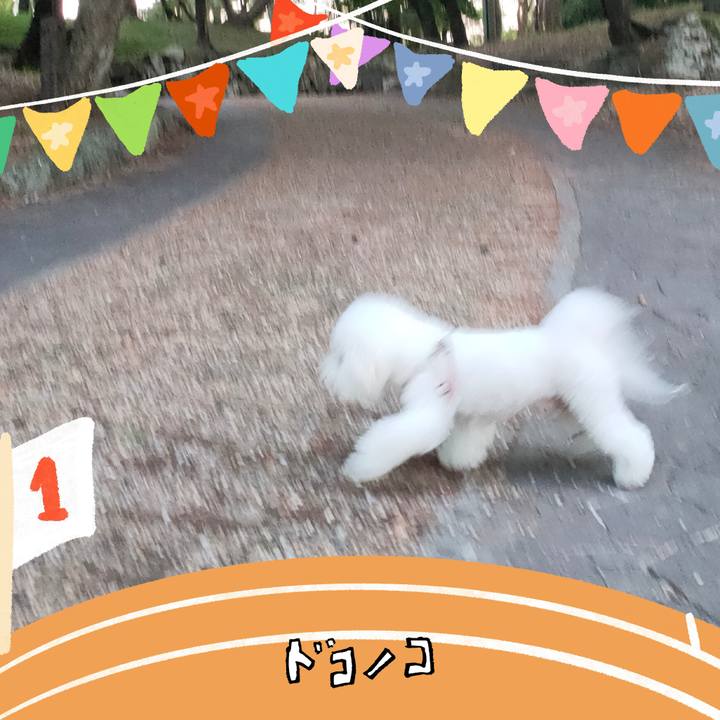 537624ec 17d4 42a8 a88d 0eb4979e748d 1761216443097