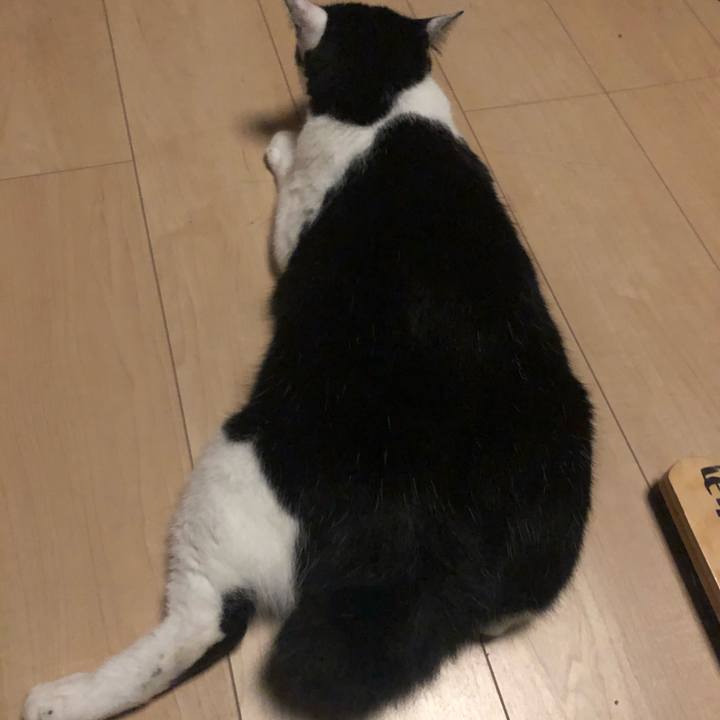 537652fd 6d69 402b a491 b266e019e0c8 1593957300968