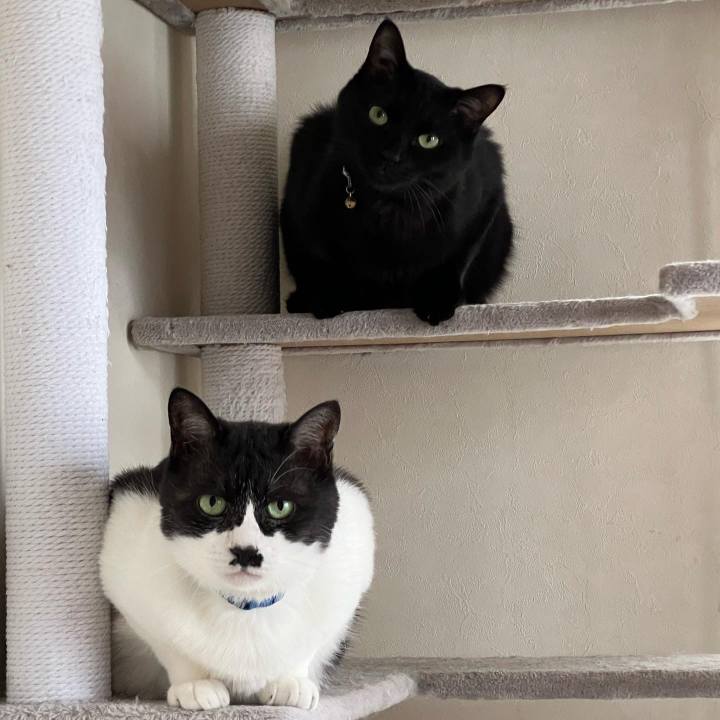 53767488 50b4 4945 8854 140e1cde7e71 1689117067808