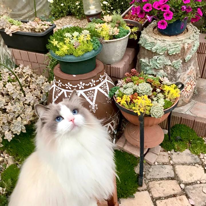 5376768b 1804 4704 9e39 69a462040e1a 1620728128186