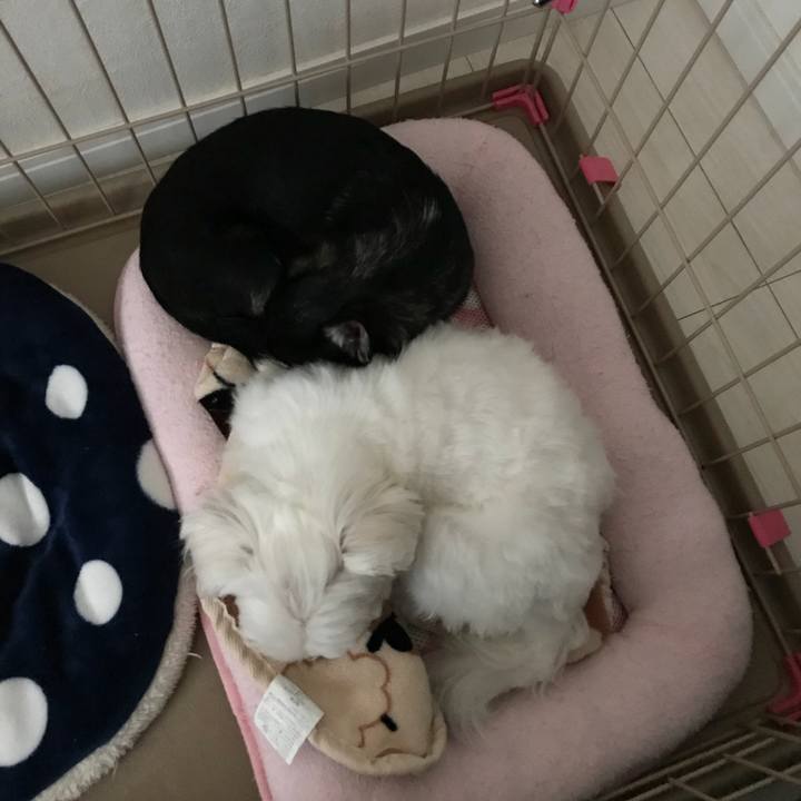 5376a49a e338 4e5d 9325 5e24e623b8bf 1525219437184