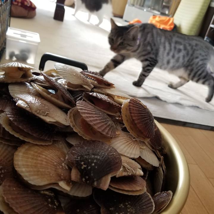 5376ad0f e381 4cd9 b504 dda124aed46d 1683631238447