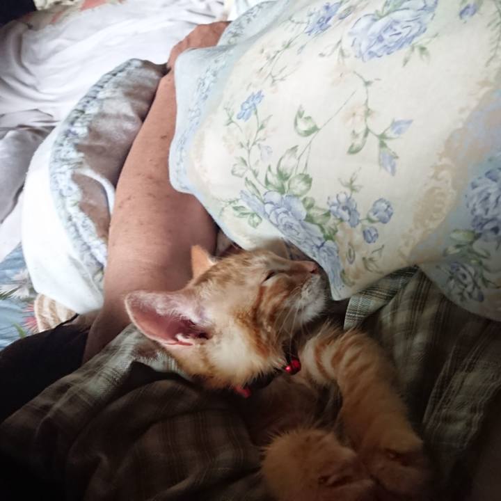 5376dfe7 1dee 4a2a b328 bc9845b834d7 1630299540724