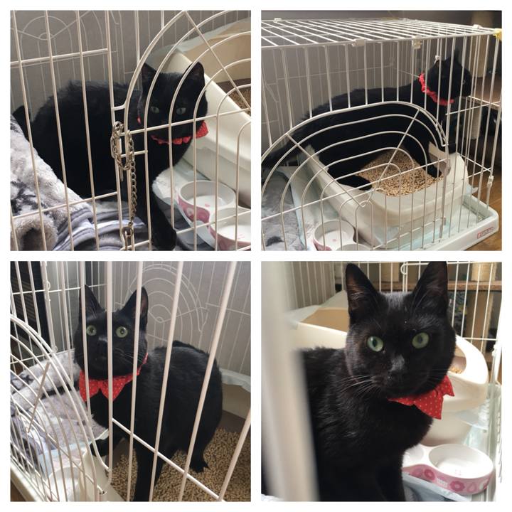 5376eb25 c363 4433 a640 14e4bf8b79a7 1537753916074