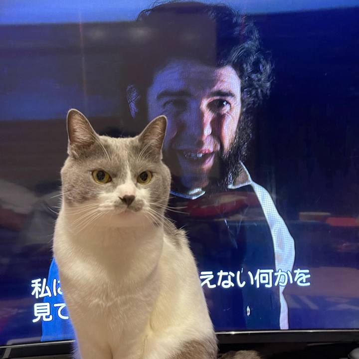 53770953 8f67 461e 9134 7d694aa2eb6c 1659782402324