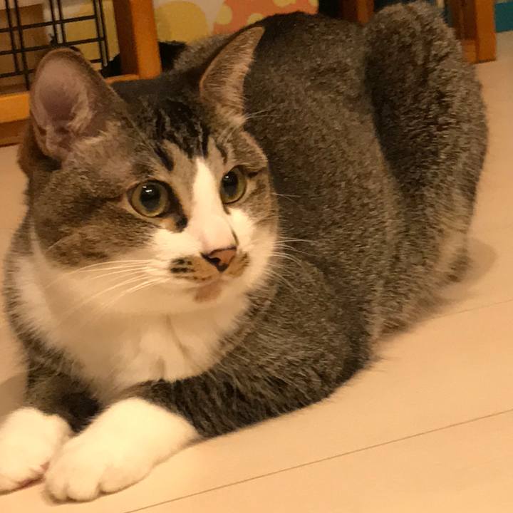 53772500 35fa 4c27 b6bb 8bf186eceaeb 1532699308860