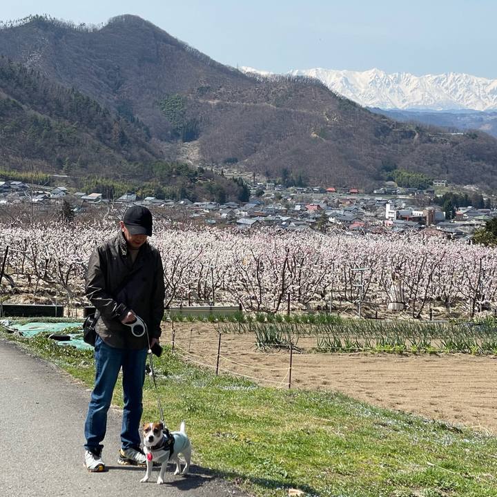 5377473e 6c02 4154 b66a 4ad23b21b7a8 1743859769999