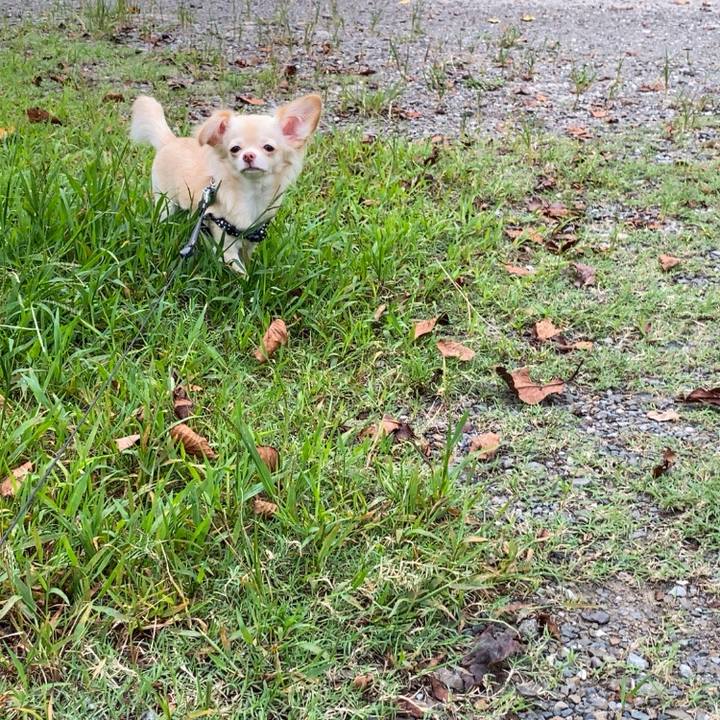 53774864 c6e6 46dc 9d22 f48fe99384ac 1600320688503