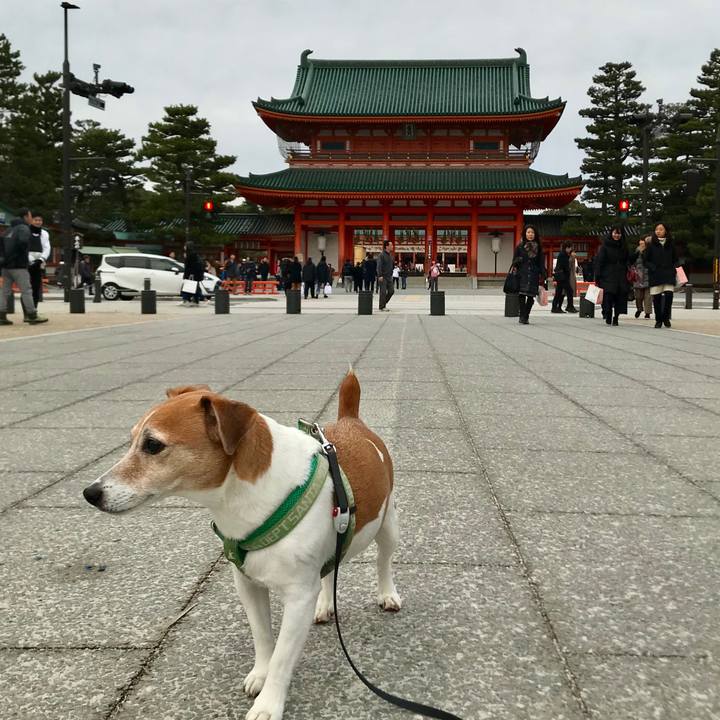 5377581f d30e 40ac 8b3b 201c62d24b82 1515310995349