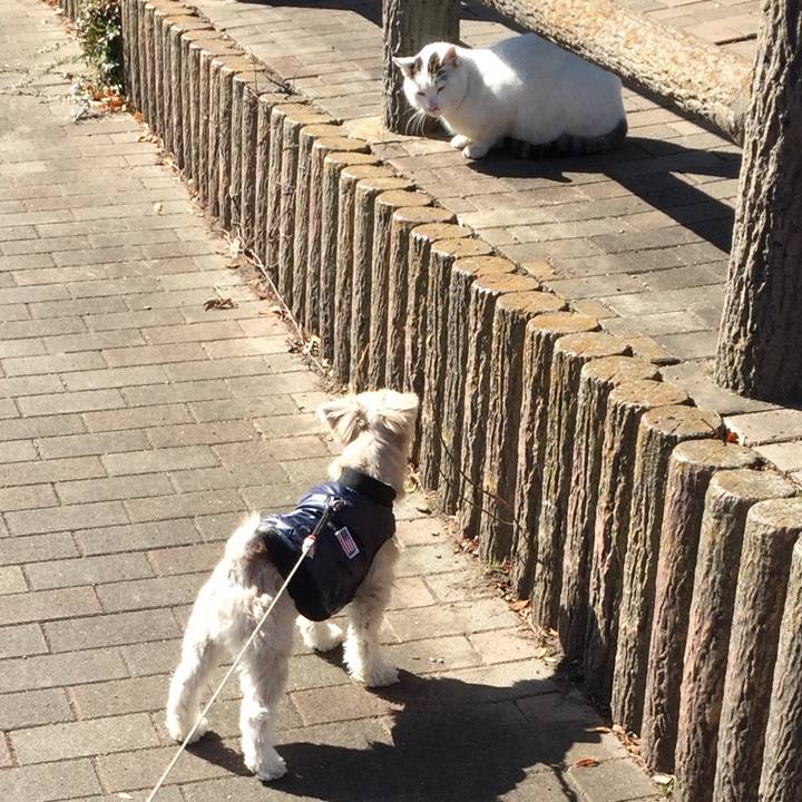 537759fc c7e4 4043 b435 792c33514604 1549091289368