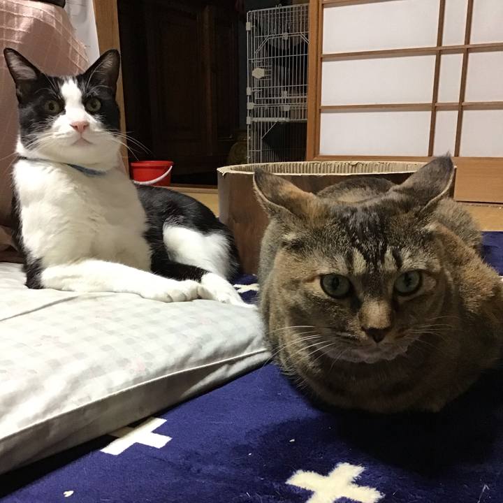 53775a75 735d 449c b2ed 1fbb994cef43 1715341360822