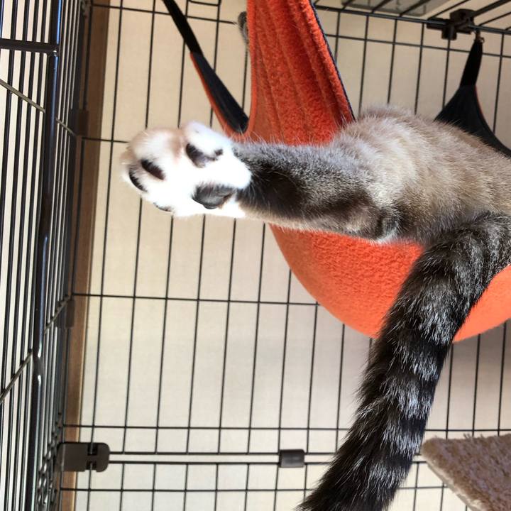 5377cd55 78b2 4d6b 879c 86ecfcf23932 1631278023441