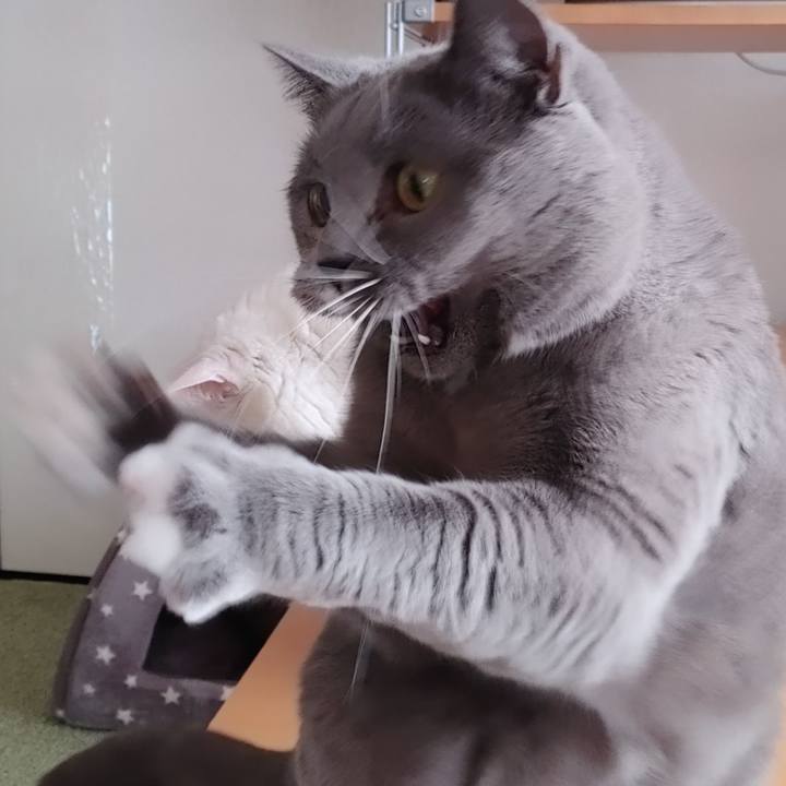 5377f63b ee6c 4d3e b079 00483488759d 1641785981693