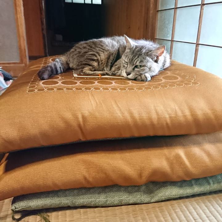 537801df c15c 43d5 9b7d 12d4ac366e31 1565771932602