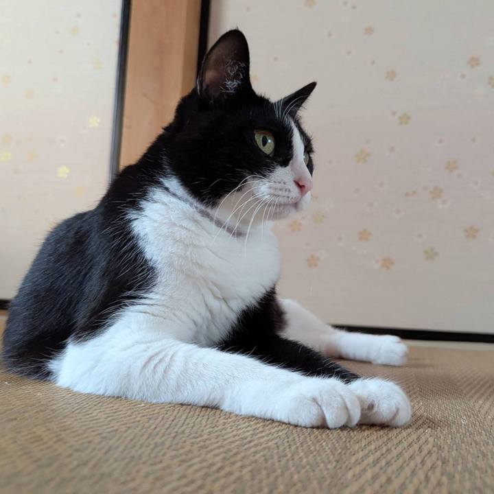 53781abe f0d2 4799 af18 63941d138aa8 1766386650739