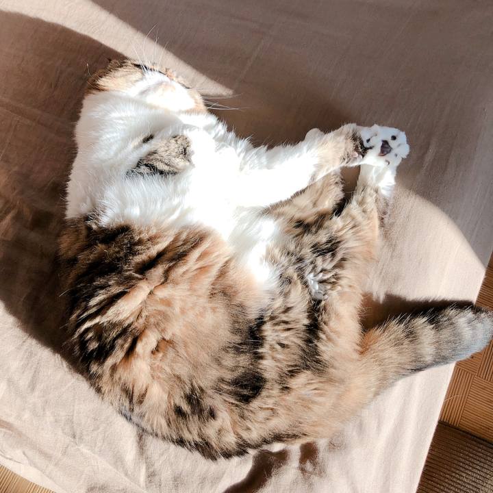 5378642f 491b 44b9 bfd4 bd8bd5f169e2 1586125375955