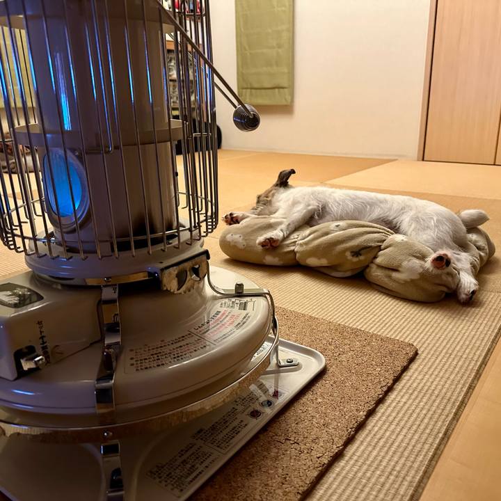 537865f3 6209 45d3 ae35 8d67939be39a 1744553750756