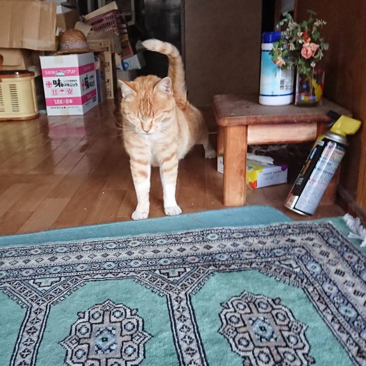 53786cc0 92c4 4908 84d1 97fc589dc861 1588064519859