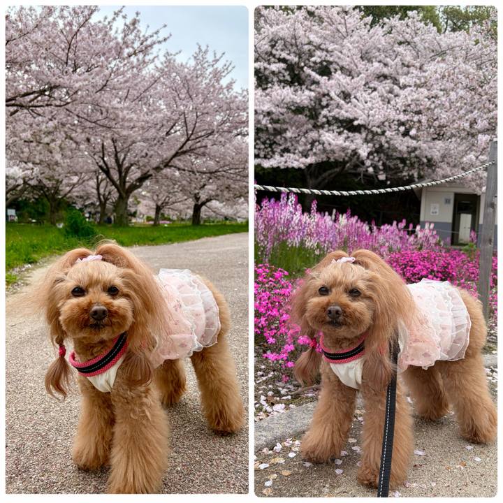 53789da3 d6da 4e38 8823 35c309ad86e6 1775438114849