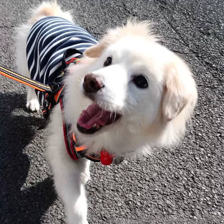 5378abbc 9f43 4c28 9767 9eadf9b9cd23 1739232914495