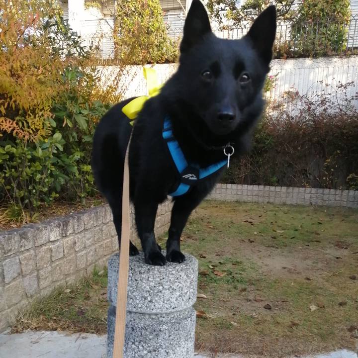 53791a1f b8d4 4708 90f2 863acec91013 1639178441704