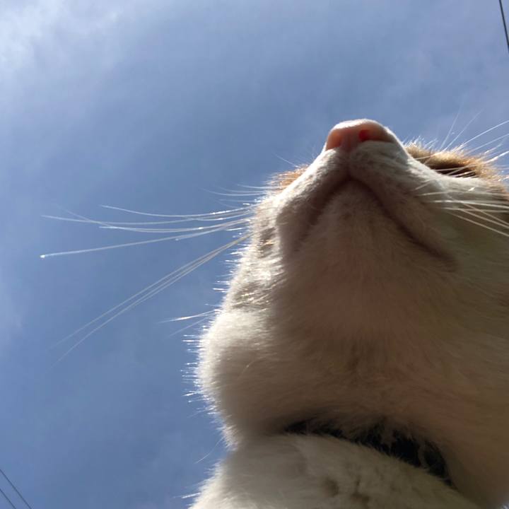 5379434e 69f0 49d2 a741 c06d60c877bc 1558831573494