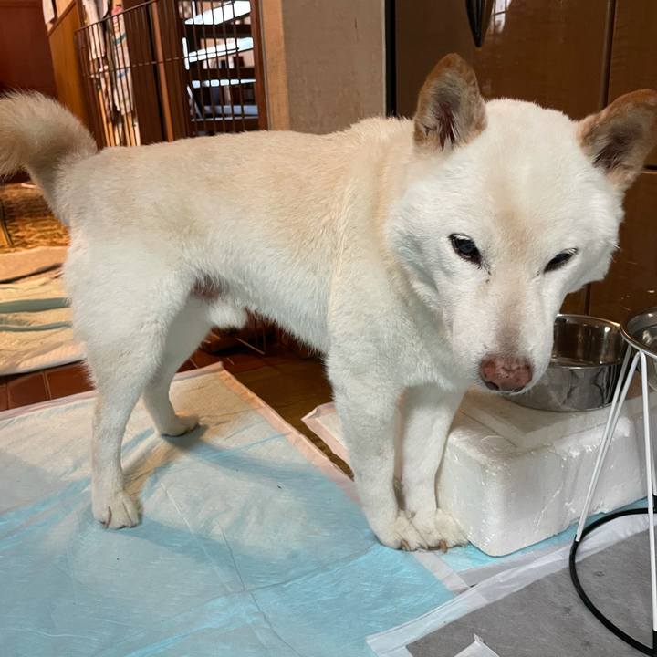 53797656 4631 4586 b2fd 49eca9cac5b3 1634634338902