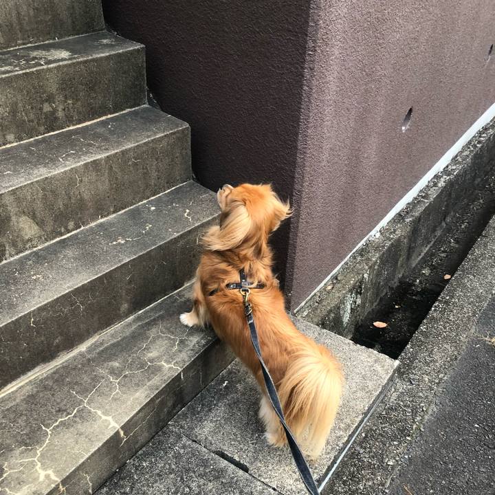 53798bd2 a7a2 49e5 b6b3 a69a0cec6f71 1540935935713