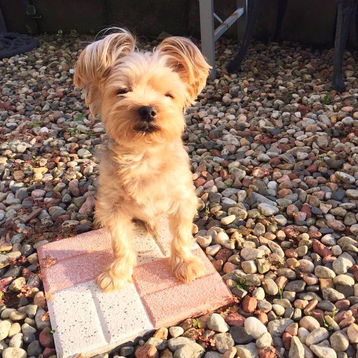 53799085 3ae9 429e 99ef fff0d3c981a8 1535365830549