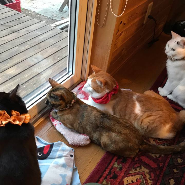 5379b85e 1027 4765 9b2c b1ffb0cd6d2d 1624789043773