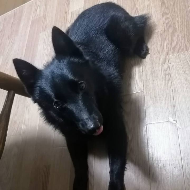 5379bc71 2da2 4d2f a573 25b37334010d 1630530820669